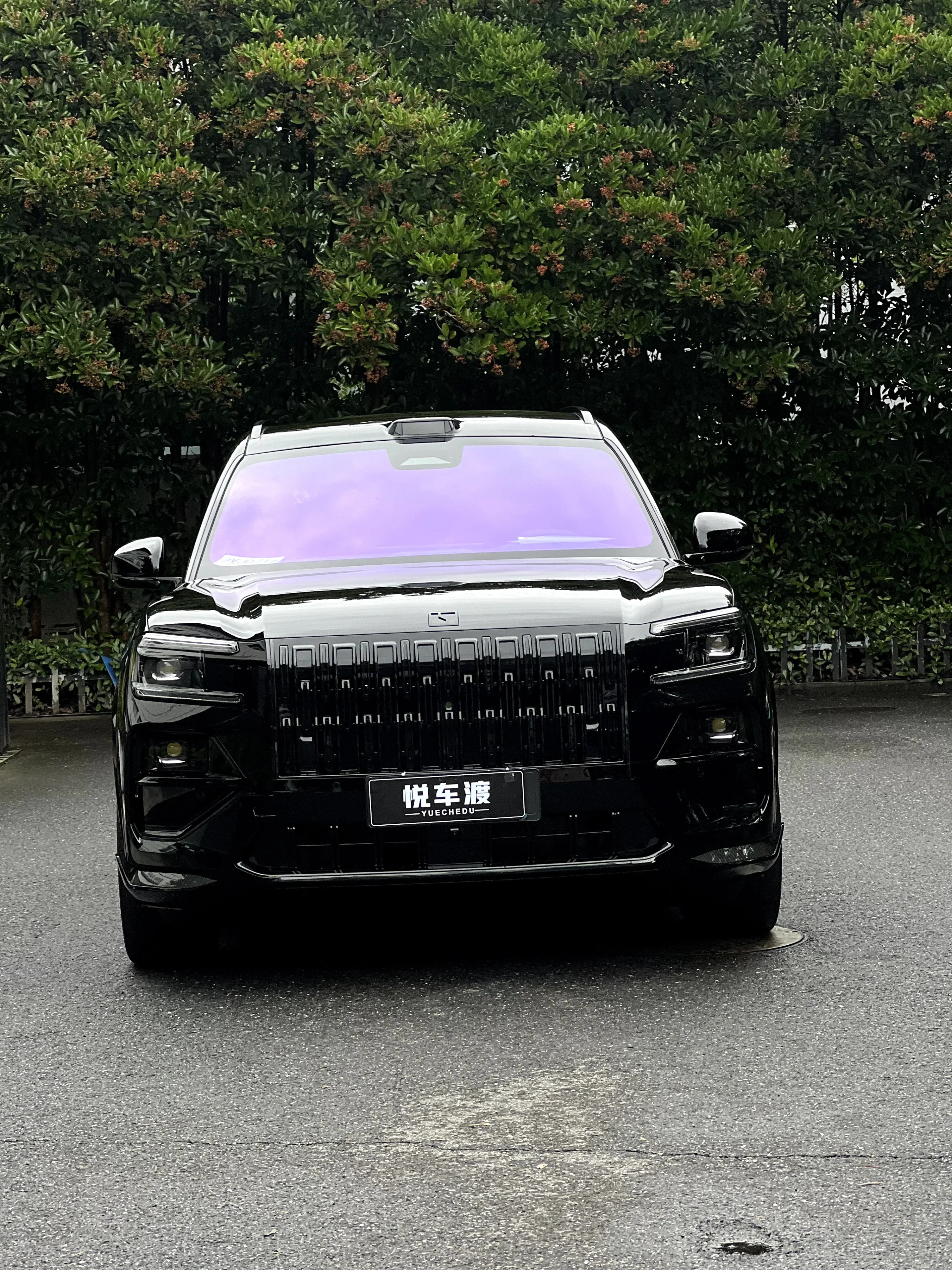 极氪8x曜影黑色亮光车衣
