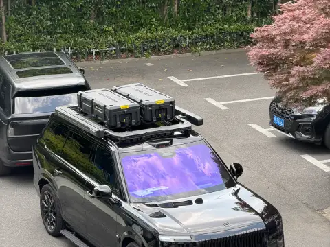 极氪9x拓展平台+帝王紫+亮光车衣
