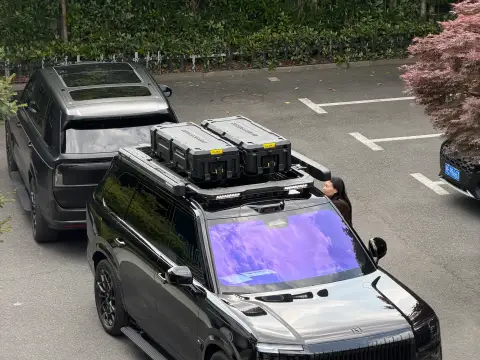 极氪9x拓展平台+帝王紫+亮光车衣