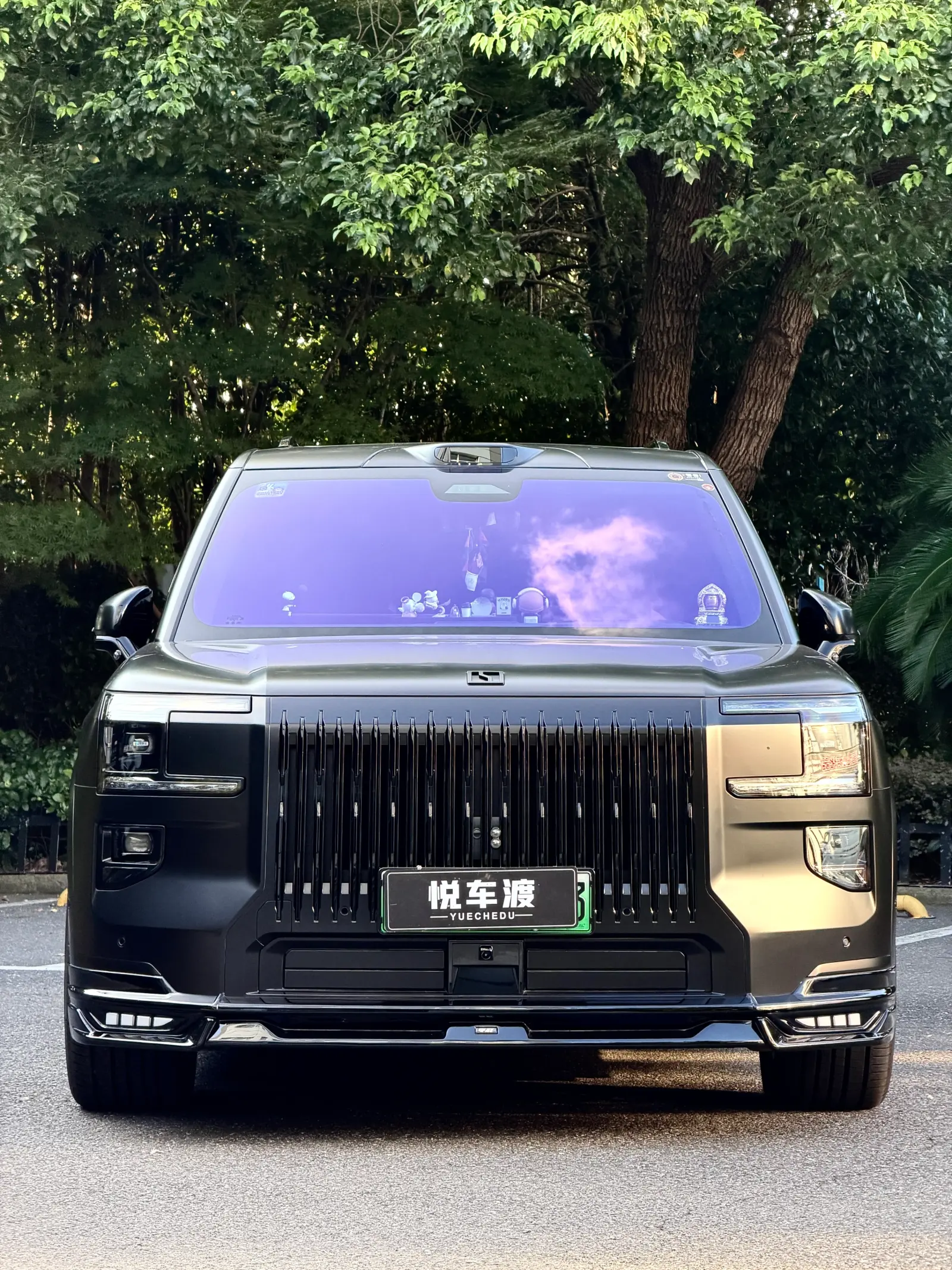 上海极氪9x哑光车衣黑武士
