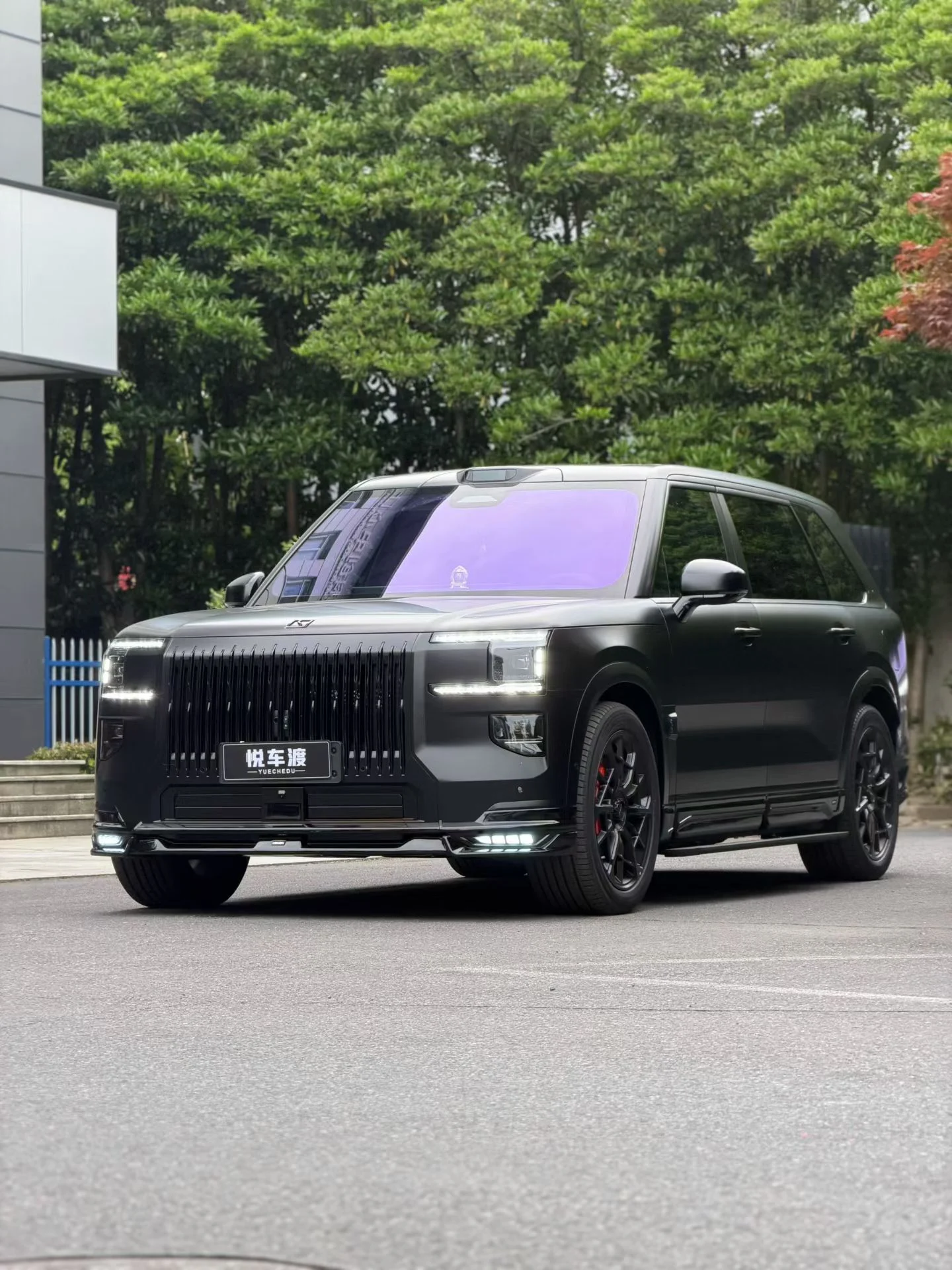 极氪9x拓展平台+帝王紫+亮光车衣