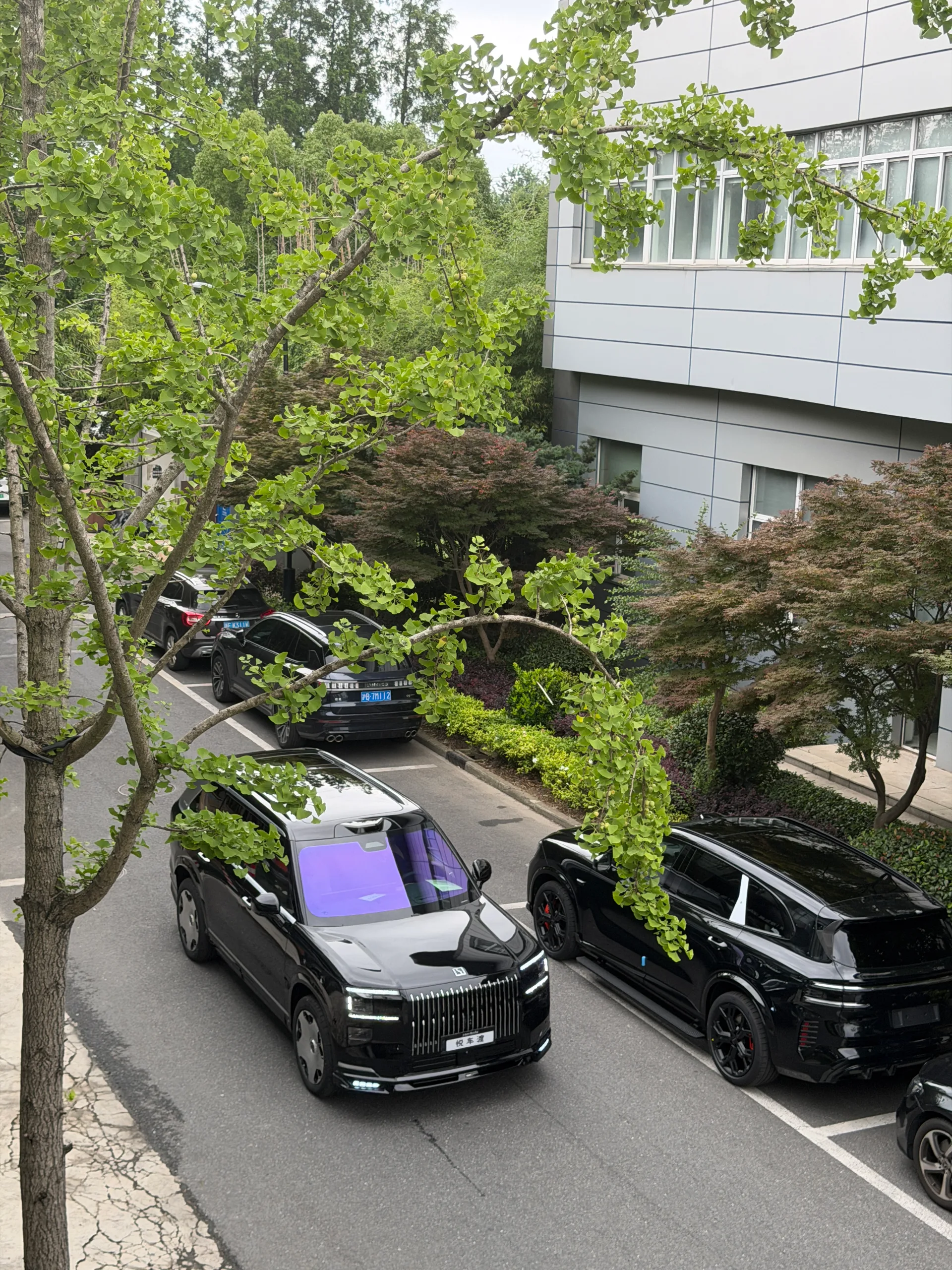 极氪9x 黑色车身同色 包围 车衣 帝王紫
