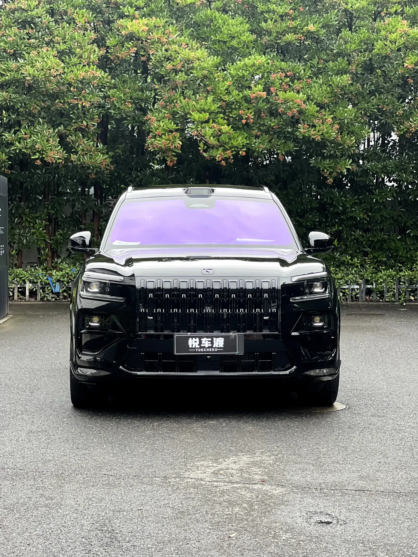 极氪8x曜影黑色亮光车衣