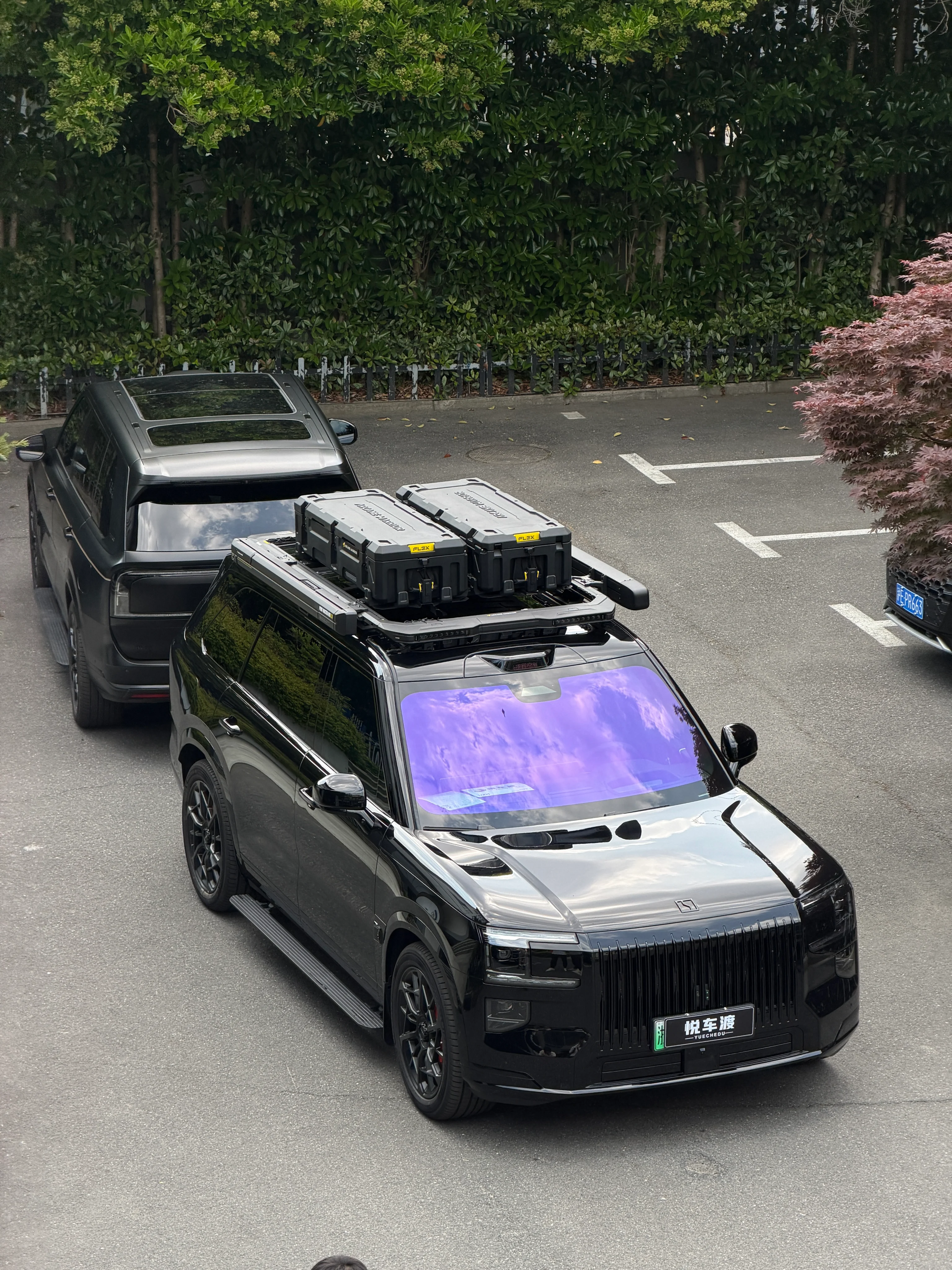 极氪9x拓展平台+帝王紫+亮光车衣