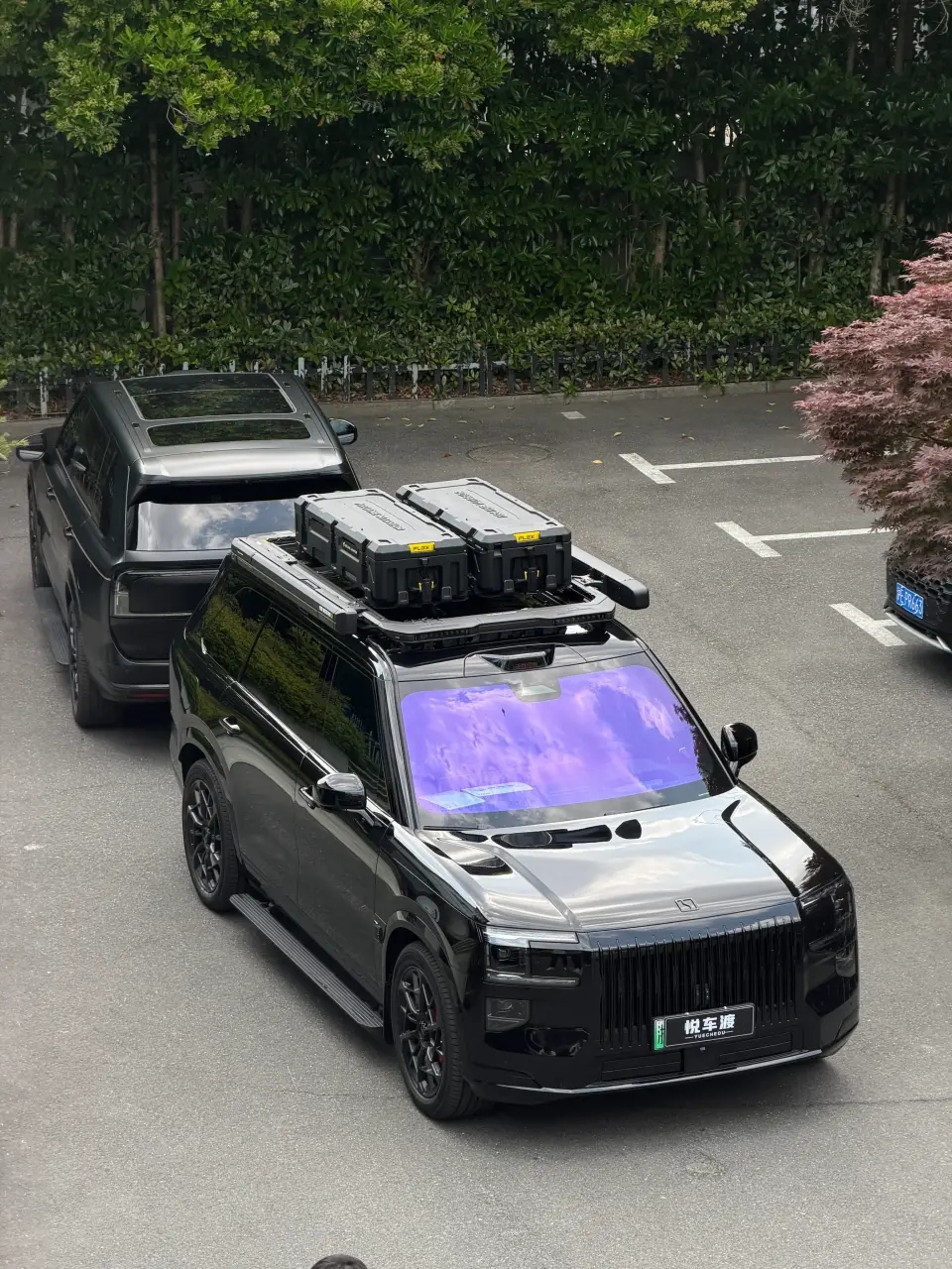 极氪9x拓展平台+帝王紫+亮光车衣