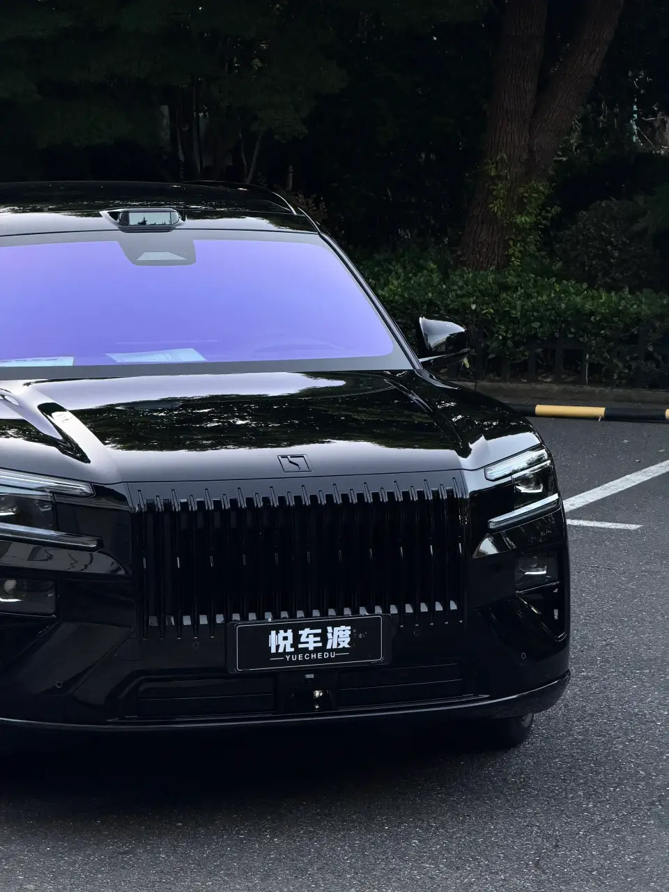 黑色极氪8x 亮光车衣 护板 帝王紫