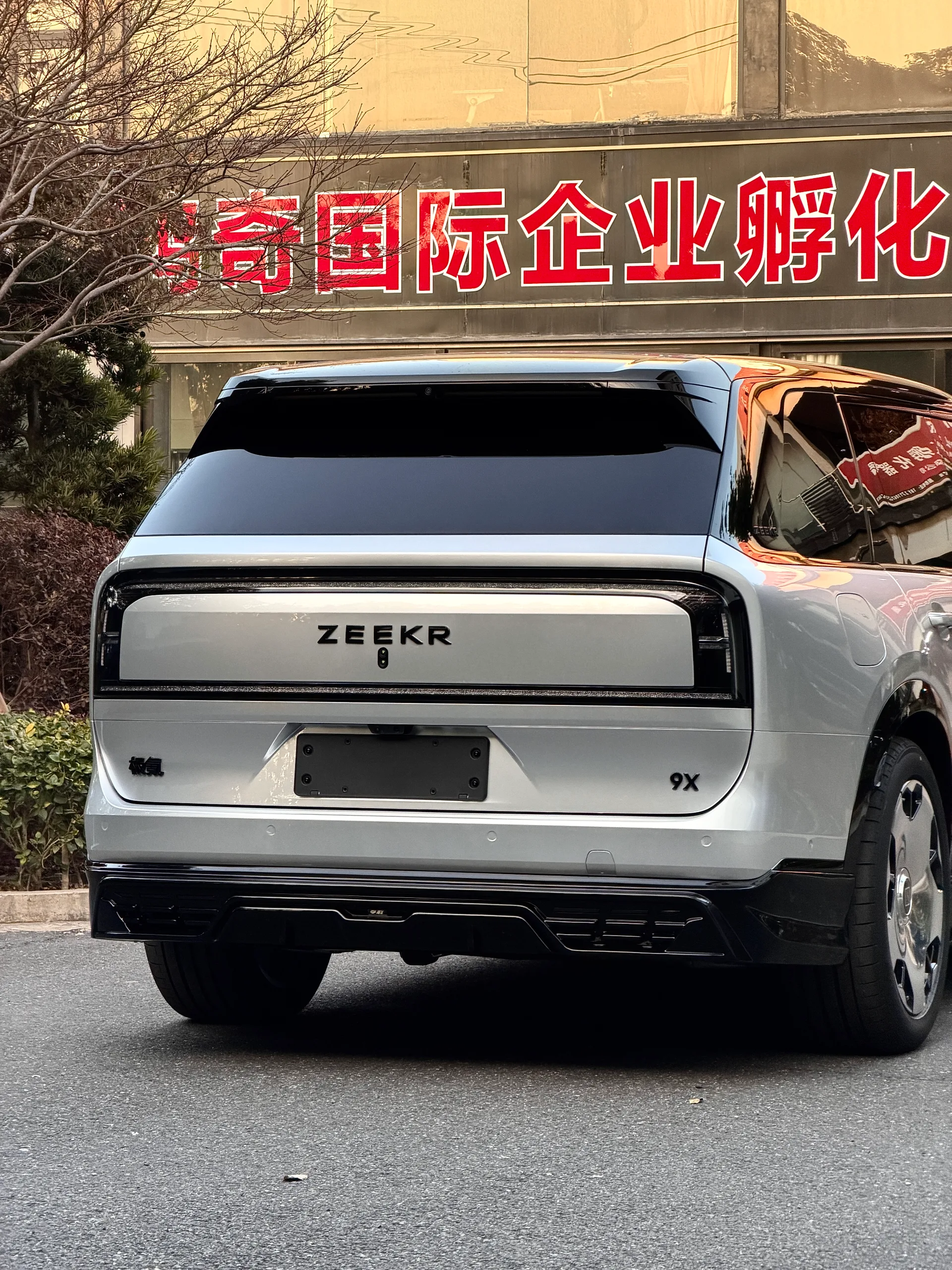 极氪9x 个性升级 改色TPU