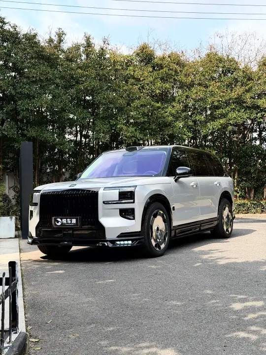 极氪9x 个性升级 改色TPU