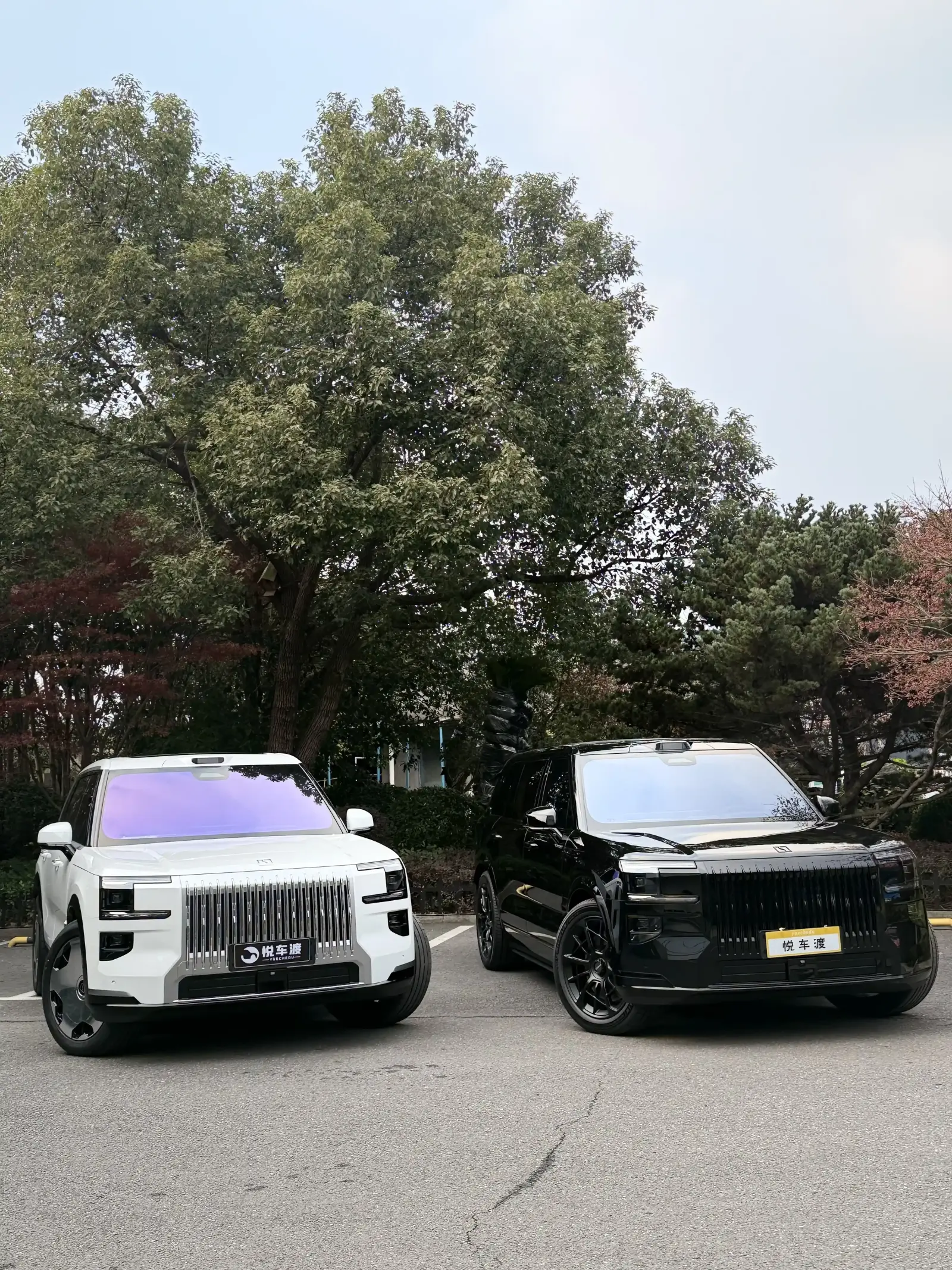 黑白极氪9X升级效果对比 施工实拍 6