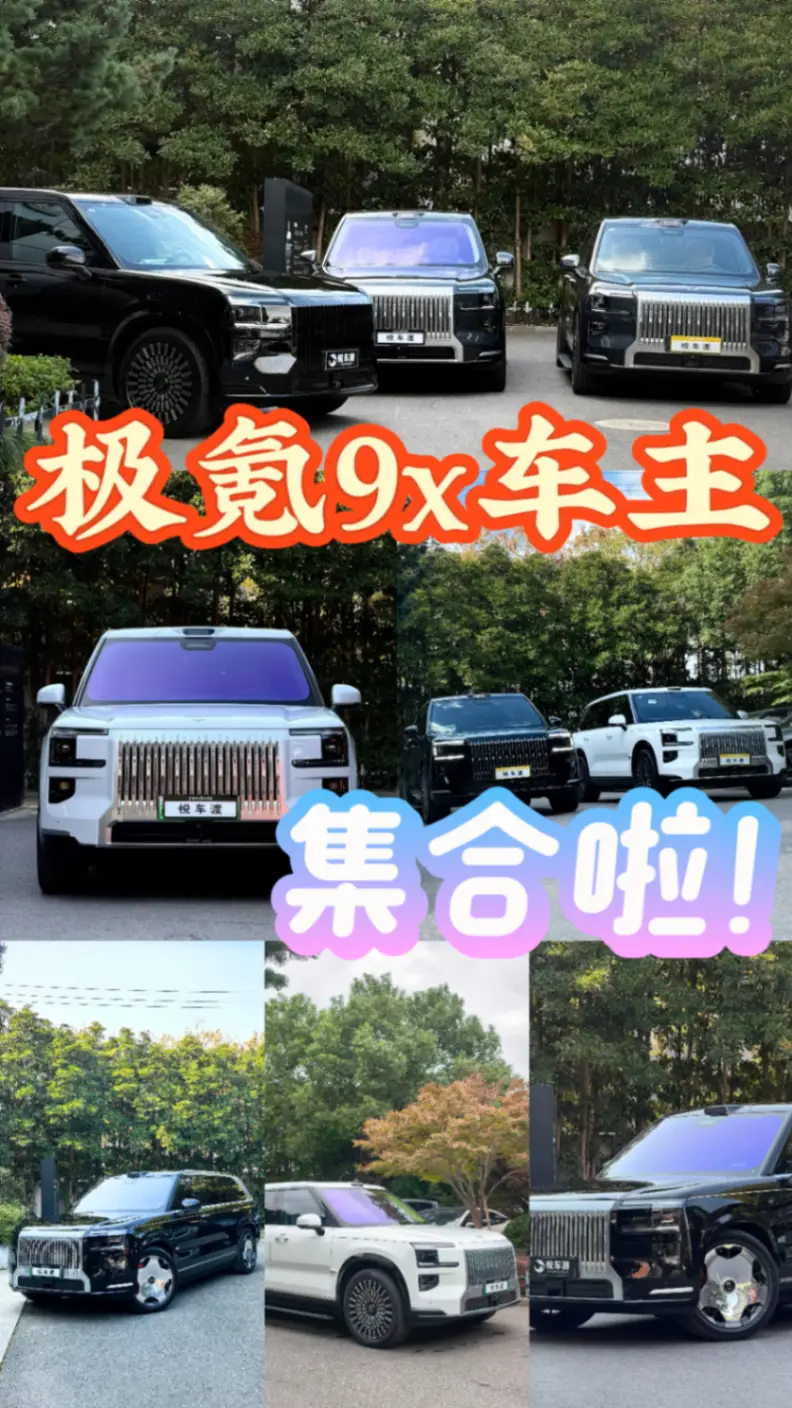 极氪9x熊猫改色案例