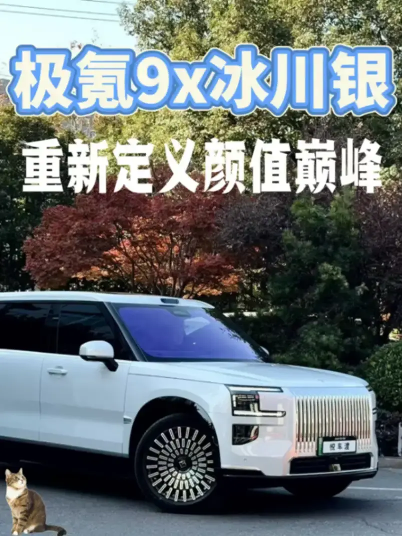 极氪9X冰川银