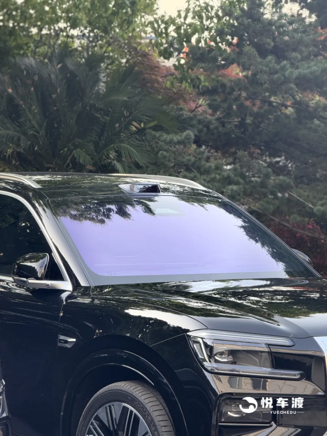 极氪8X尊膜K70帝王紫实拍图